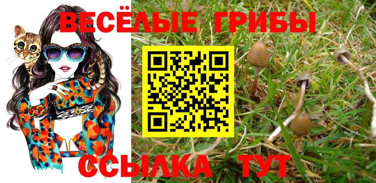 Псилоцибиновые грибы мухоморы Астрахань